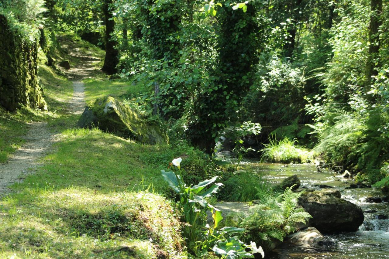 O Val Do Naseiro Hotell Viveiro Eksteriør bilde